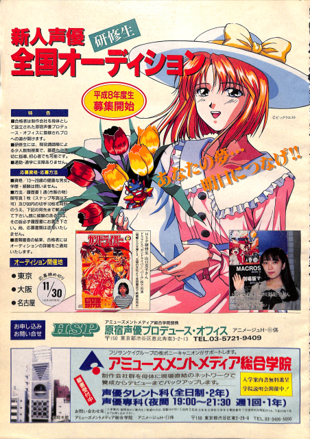 animage 12 95 1